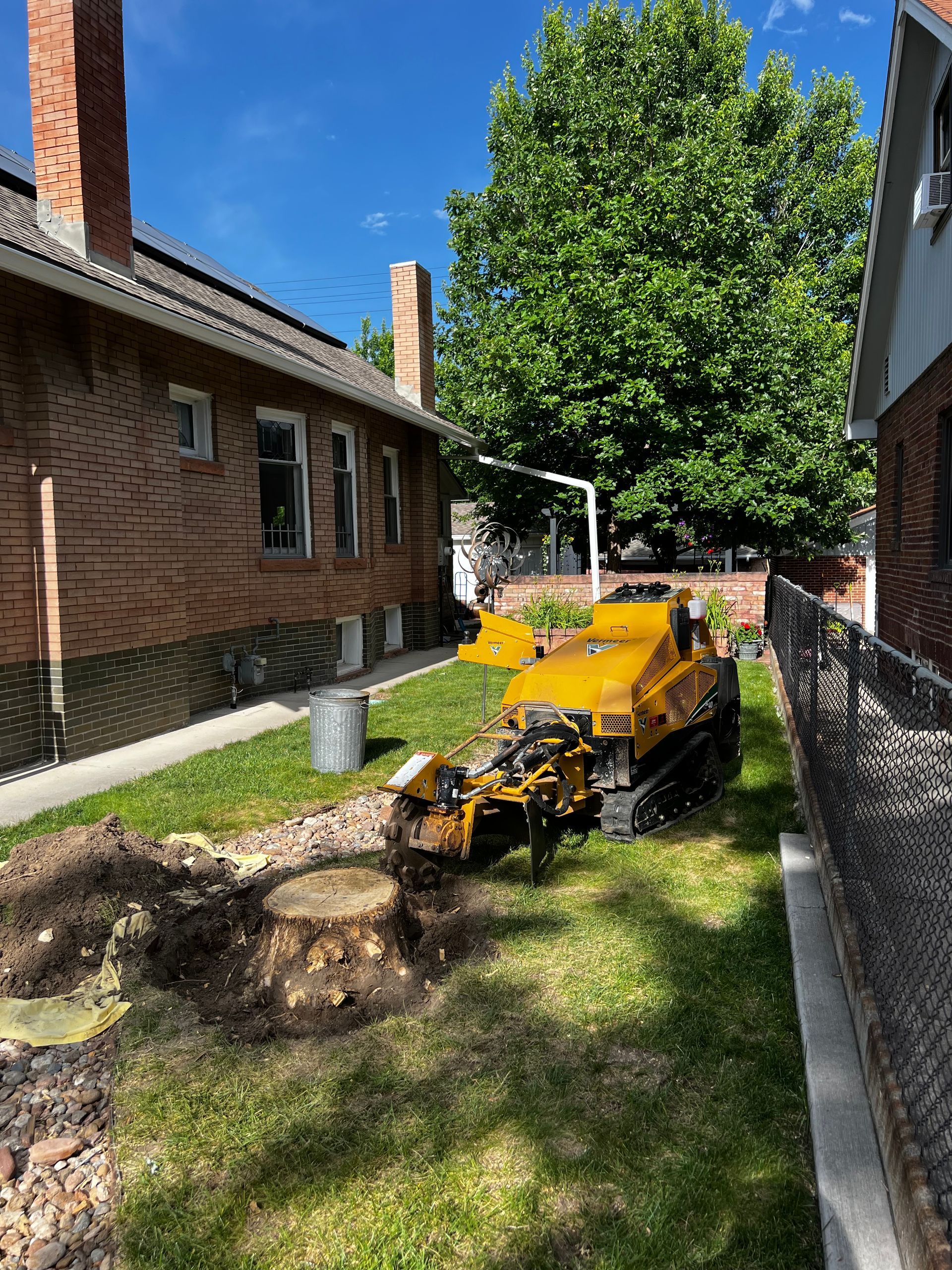 Man On A Tree — Denver, CO — Moore Stump Removal