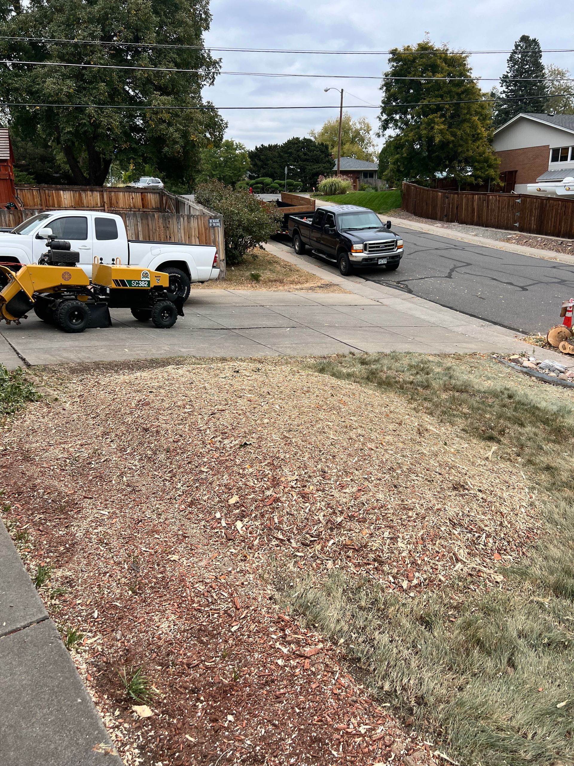 Using Chainsaw To Cut Tree Part — Denver, CO — Moore Stump Removal