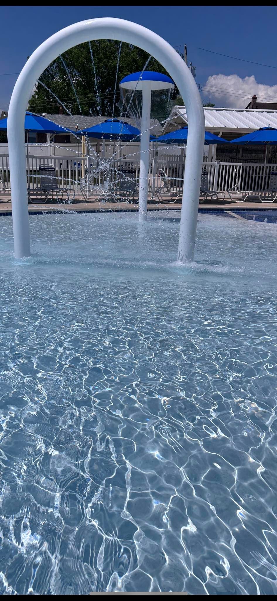 Ball Pool Springfield's Photo Gallery | Springfield Country Club Pool Life