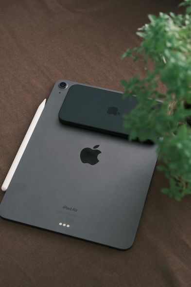 Een donkergrijze iPad met een Apple Pencil en een bijpassende donkere telefoon die op de achterkant ligt, staat naast een klein groen plantje.