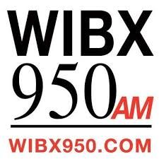 wibs logo
