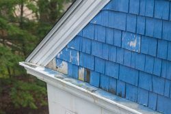 Blue shingle siding with peeling paint beneath a white gutter on a building's corner.