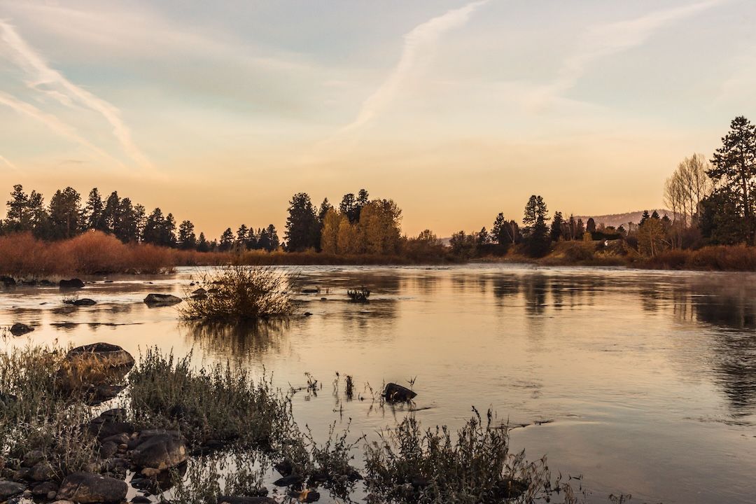 Calm lake at sunset with trees along the shore and frosty vegetation in the foreground