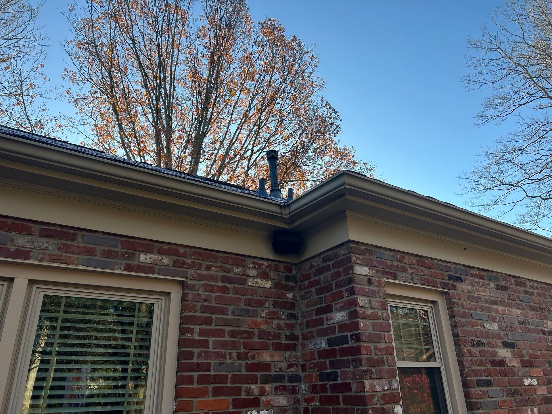 Brick house corner with white-trimmed windows, black gutters, and tall bare trees against a blue sky