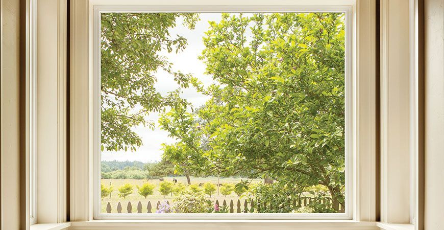 A window with a view of a field and trees.