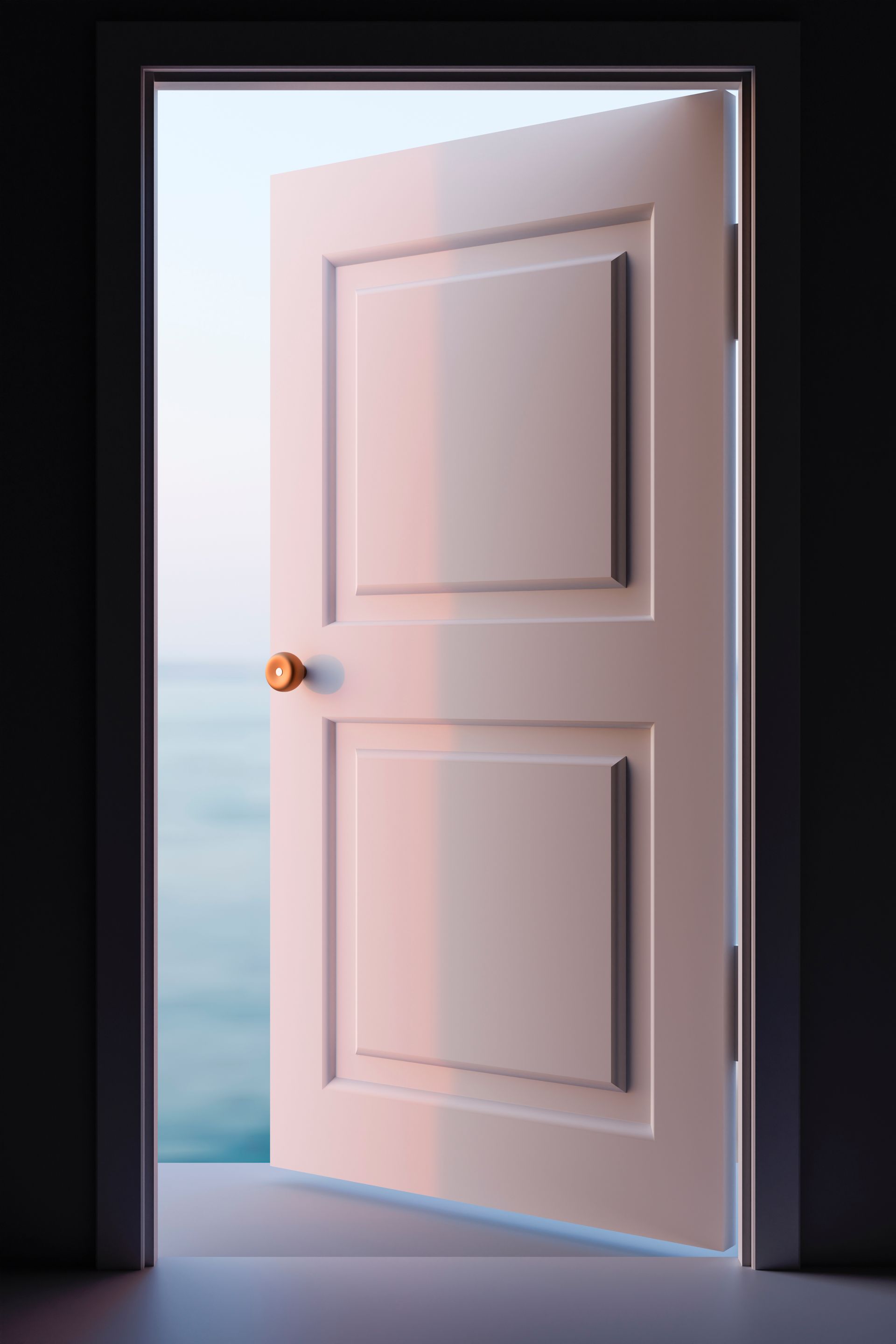 Door Replacement