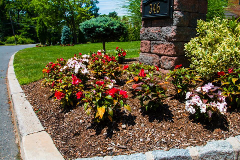 After Driveway Repair — Tenafly, NJ — DeCarlo Landscaping Design