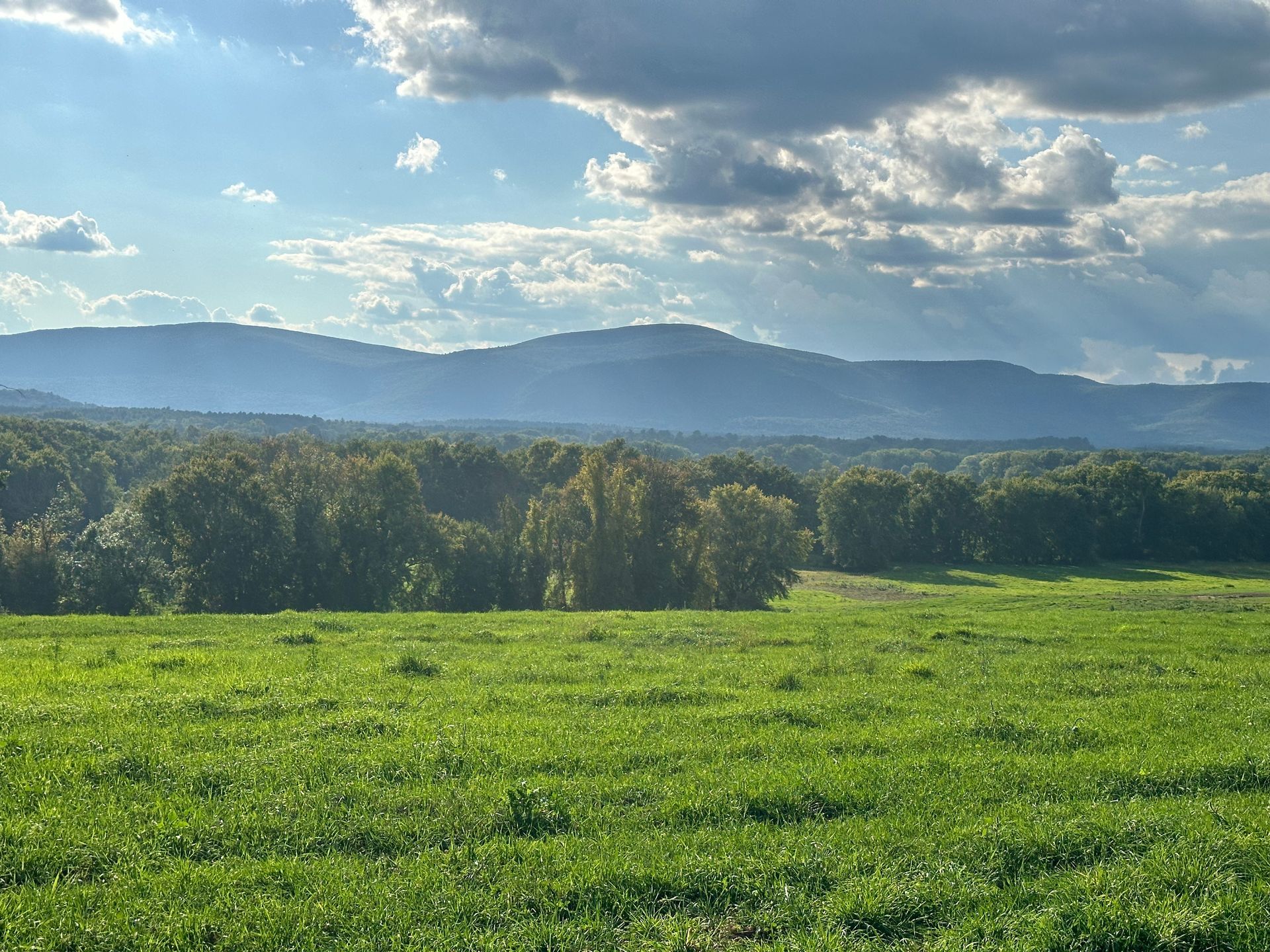 The taconic mountains near sheffield, A