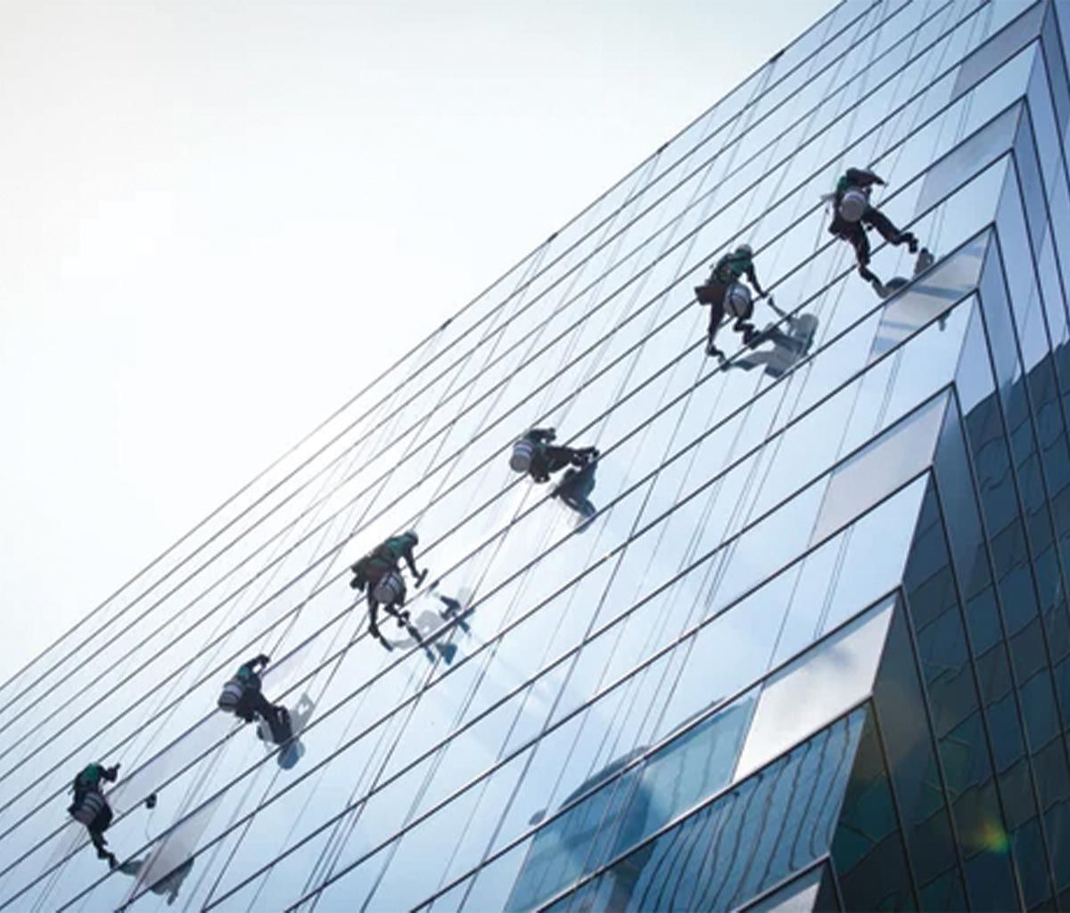 A group of people are cleaning the windows of a tall building