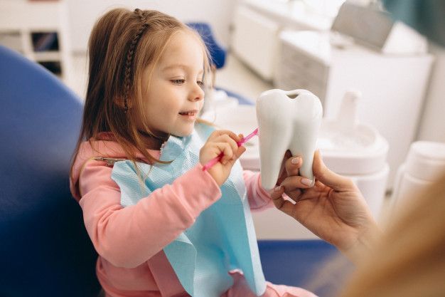 Una niña se cepilla los dientes en el dentista mientras sostiene un modelo de diente.