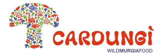 Logo per Cardungi Wildmurgiafood, caratterizzato da un design colorato a forma di fungo con il nome del marchio in lettere rosse.