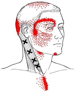 A black and white drawing of a man 's head and neck