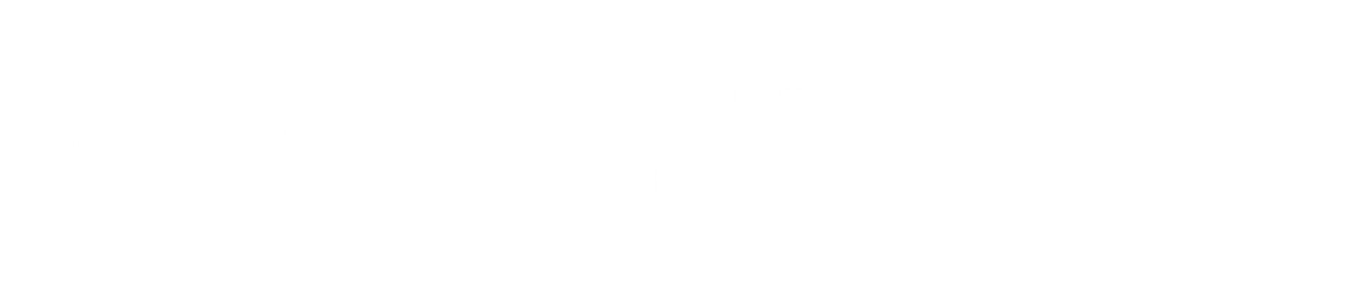 Blank white horizontal bar with a thin black outline near the bottom