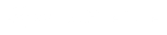 Blank white horizontal bar with a thin black outline near the bottom