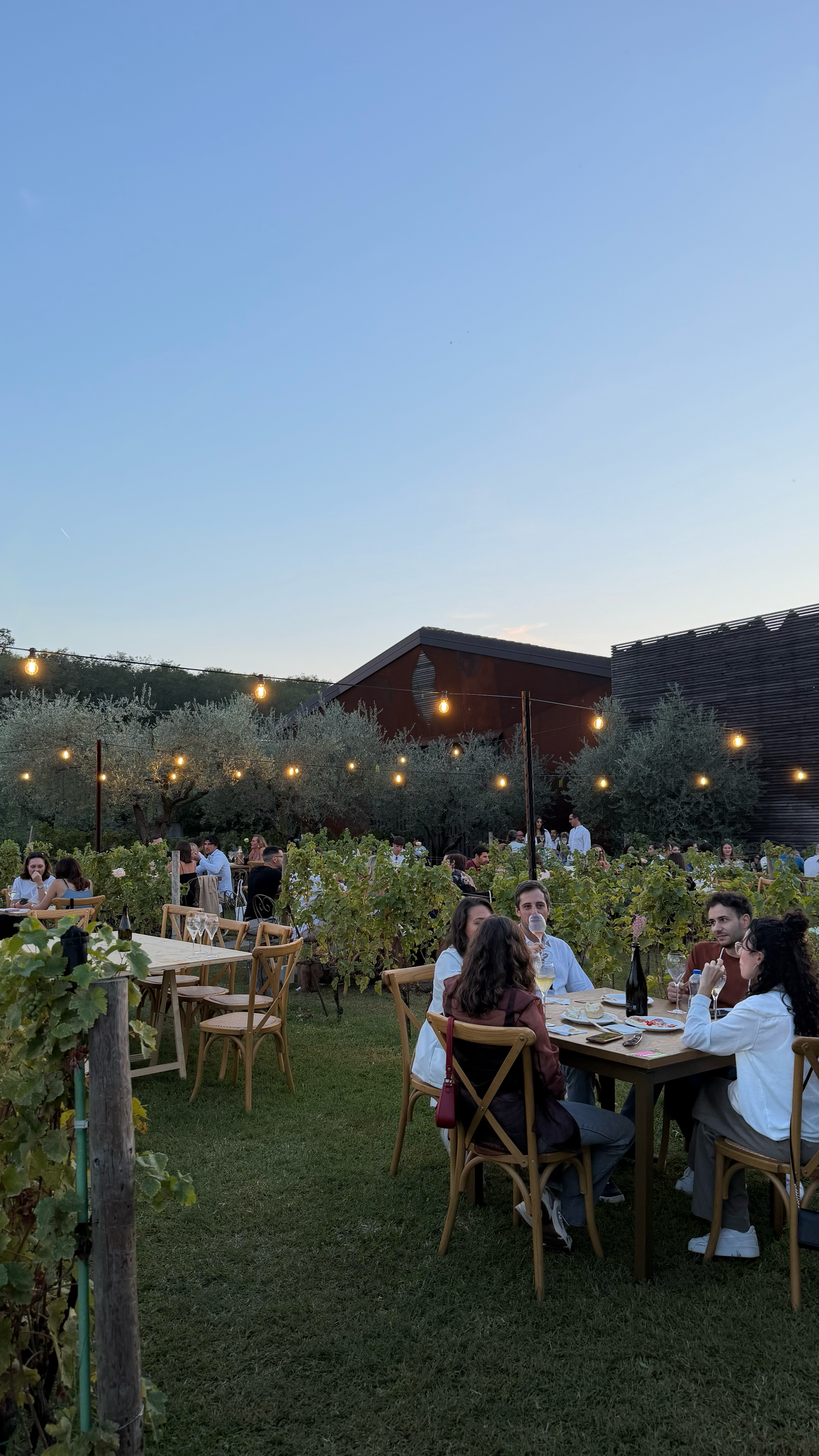 Cena all'aperto al crepuscolo, con gli ospiti seduti a tavoli apparecchiati con tovaglie bianche e illuminati da lucine su un prato.