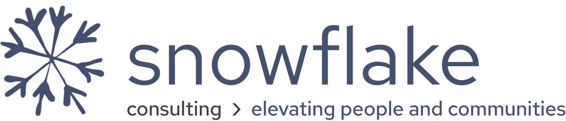 Snowflake consulting logo with blue snowflake icon and gray wordmark, “consulting | elevating people and communities”