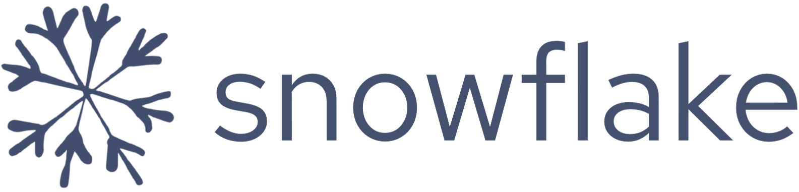 Snowflake LLC's text-based logo