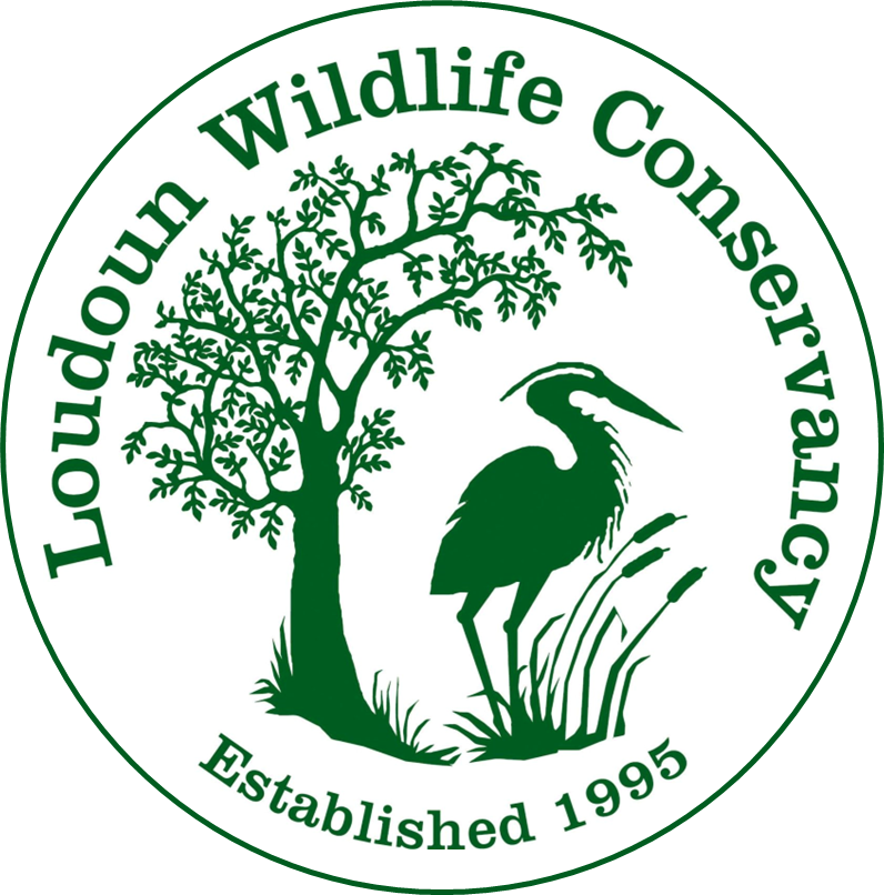 Loudoun Wildlife Conservancy logo.