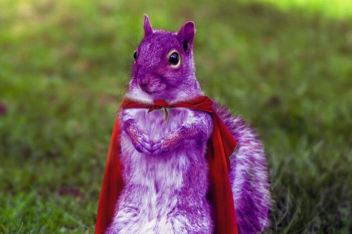 A purple squirrel in a red cape