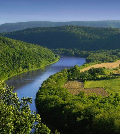 Winding river through lush green hills and forest under a clear blue sky