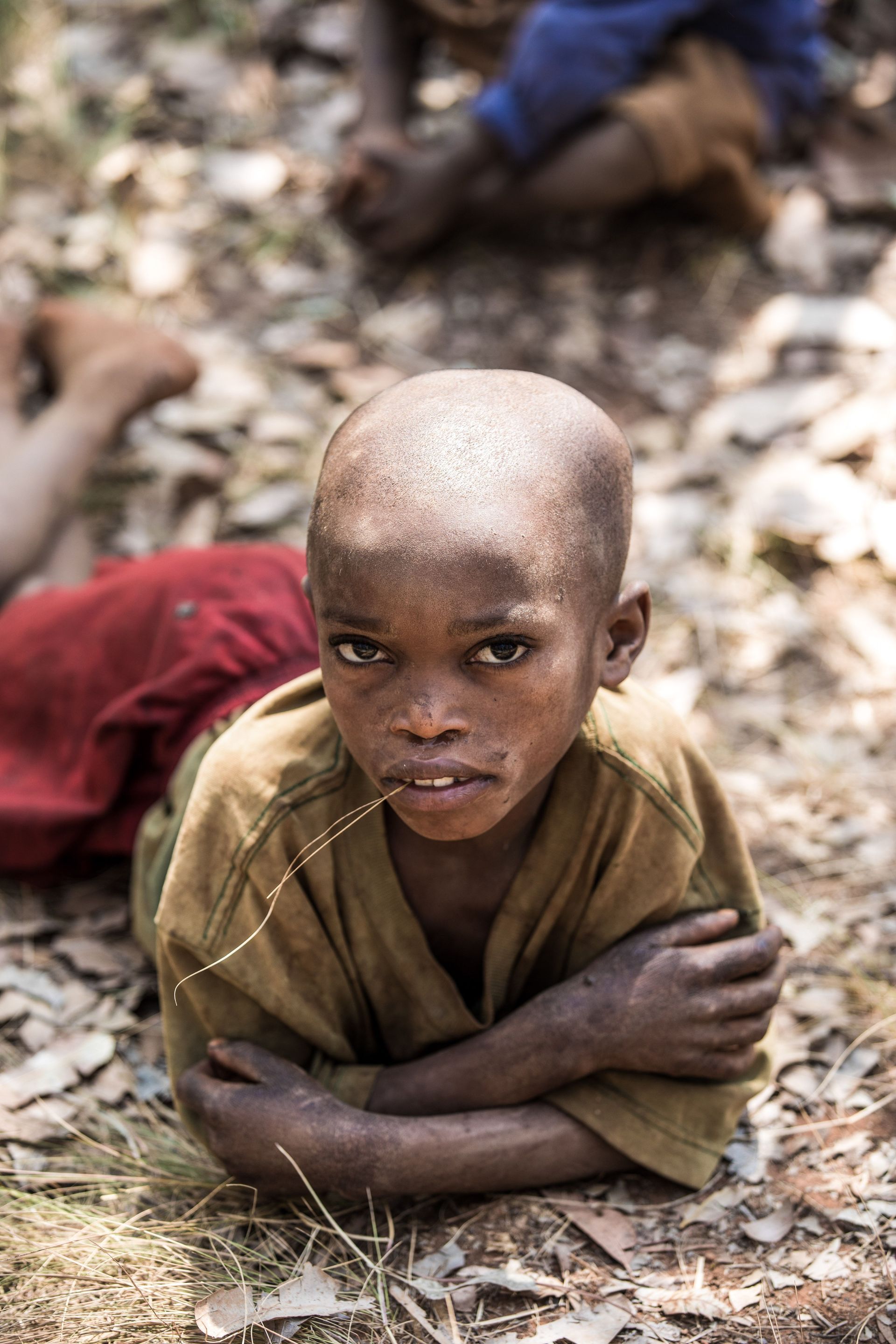 Child lying on dry leaves, arms crossed, looking at the camera in a wooded area.