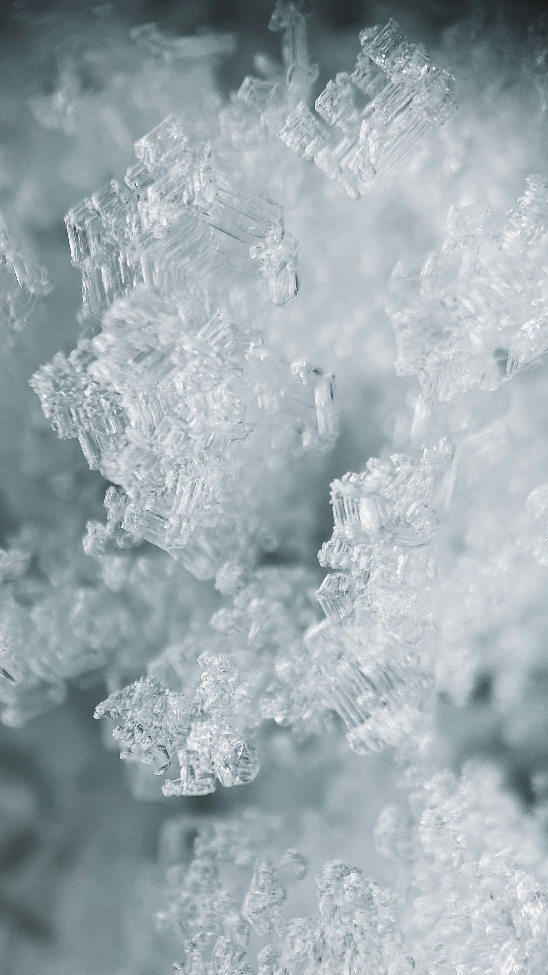 Close-up of delicate white snow crystals on a frosty surface