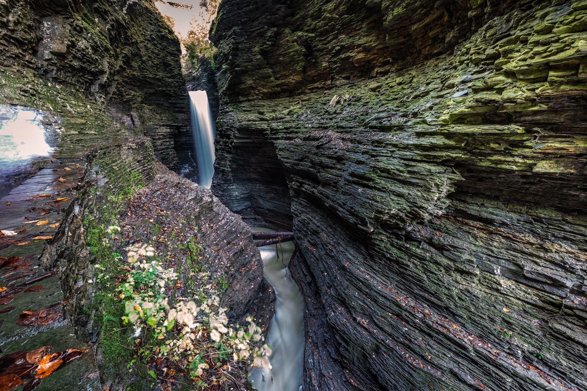 watkins glen