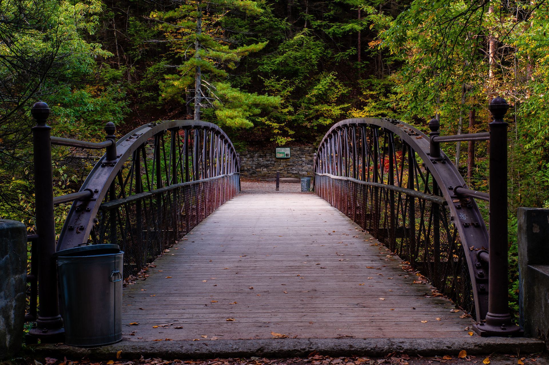 A wooden bridge in the middle of a forest