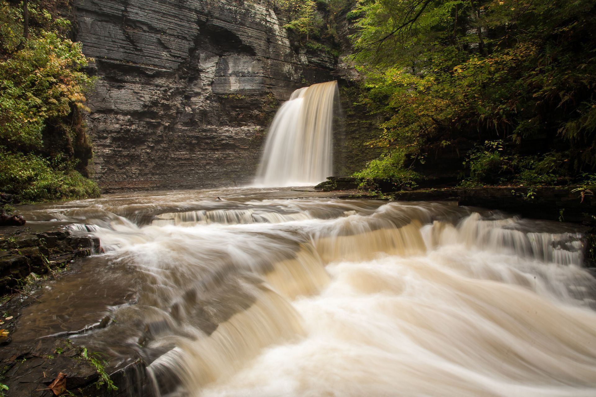 A waterfall is surrounded by trees and rocks in the middle of a forest.