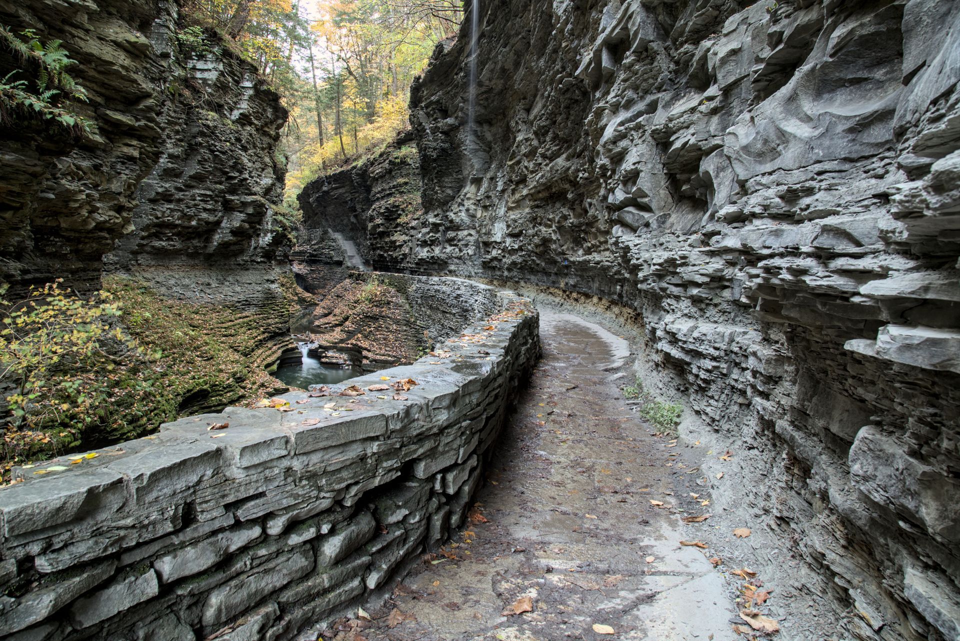 watkins glen