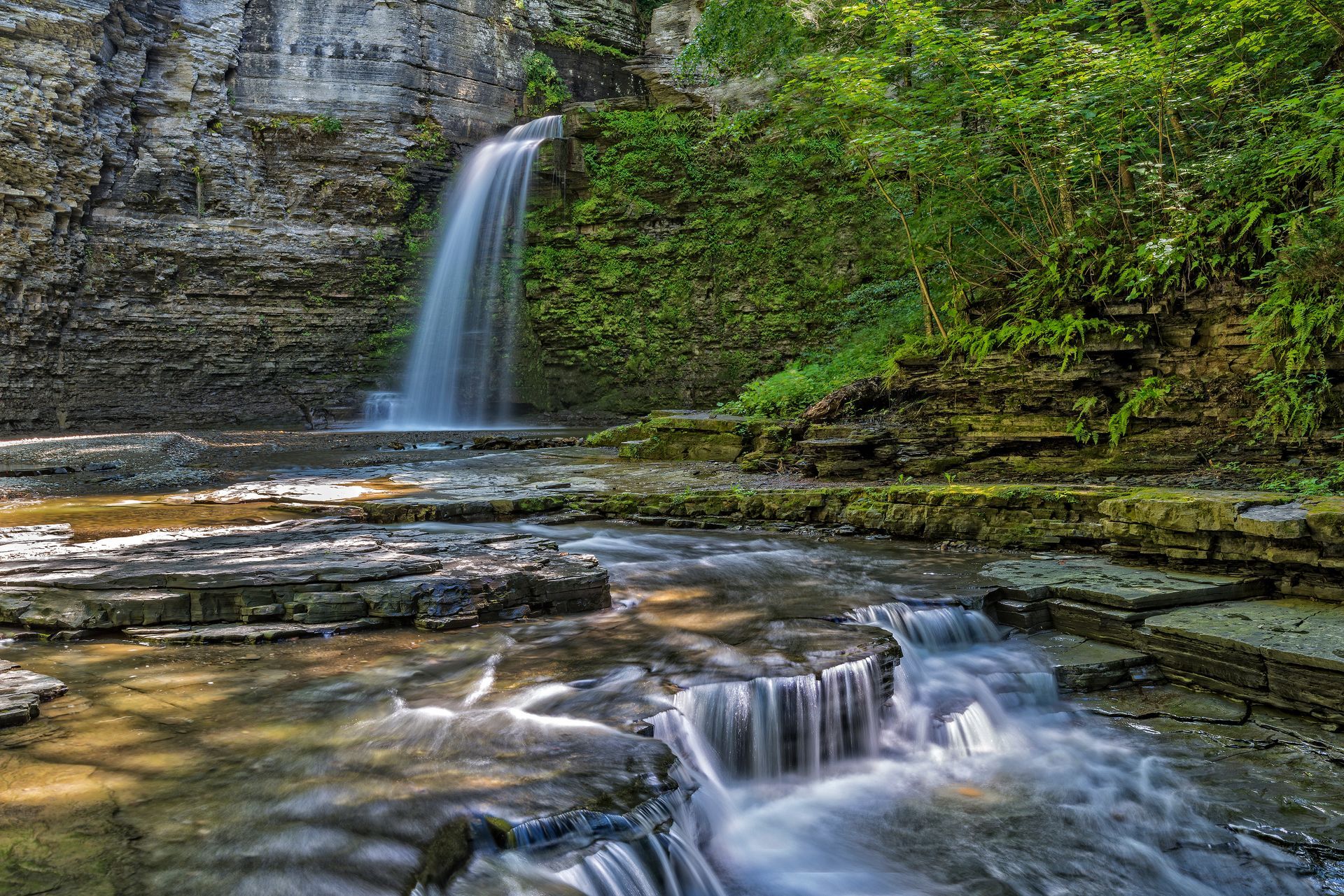 A waterfall is surrounded by trees and rocks in the middle of a river.