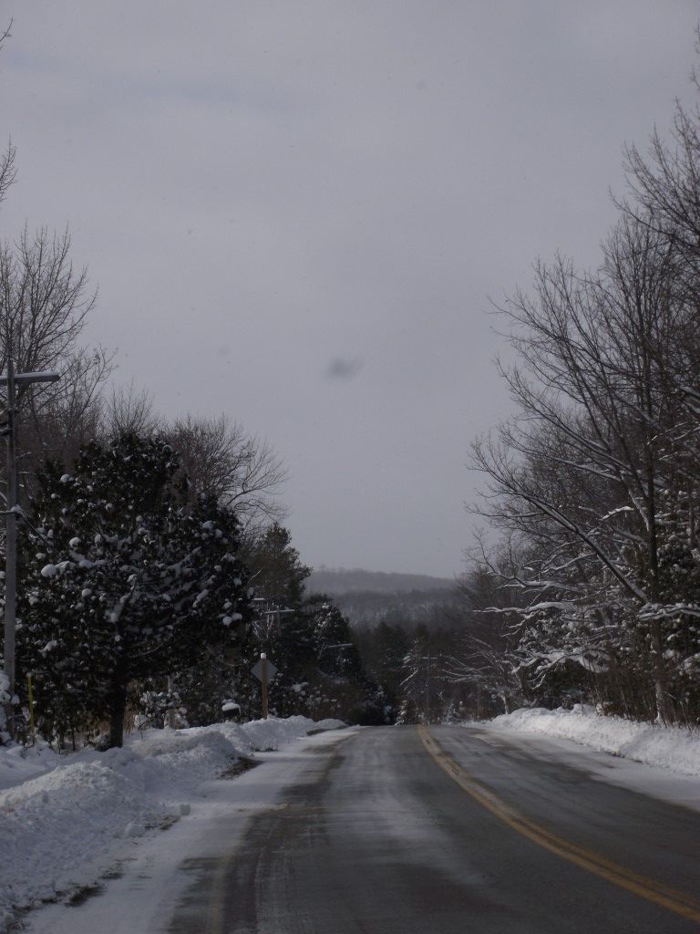 A snowy road with trees on both sides of it