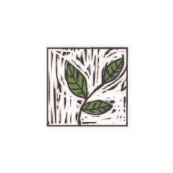 Susan McElroy Logo