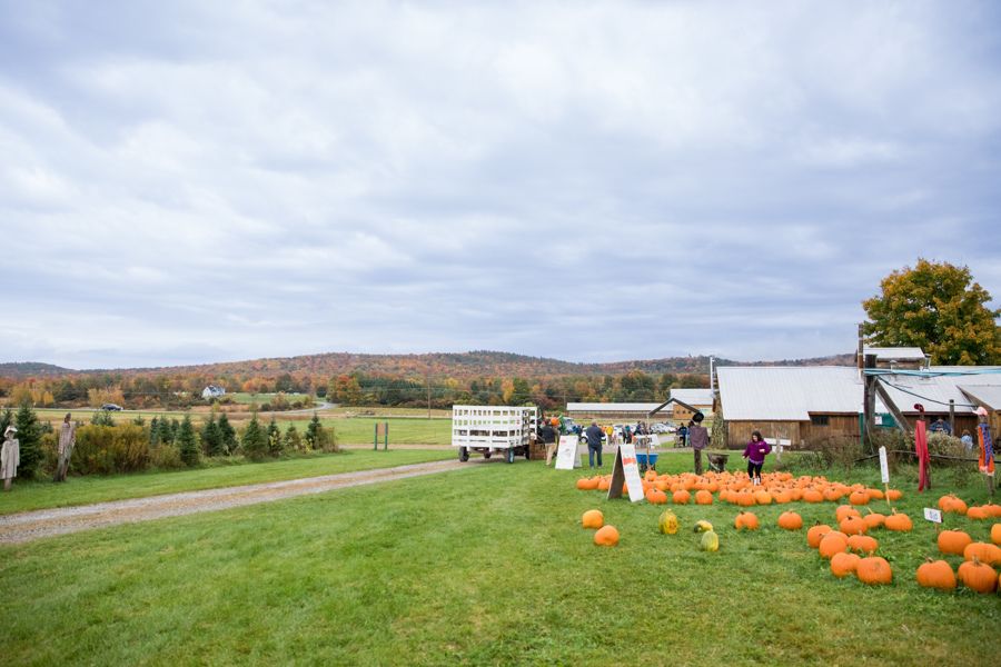Farm Festivals in Vermont Isham Family Farm