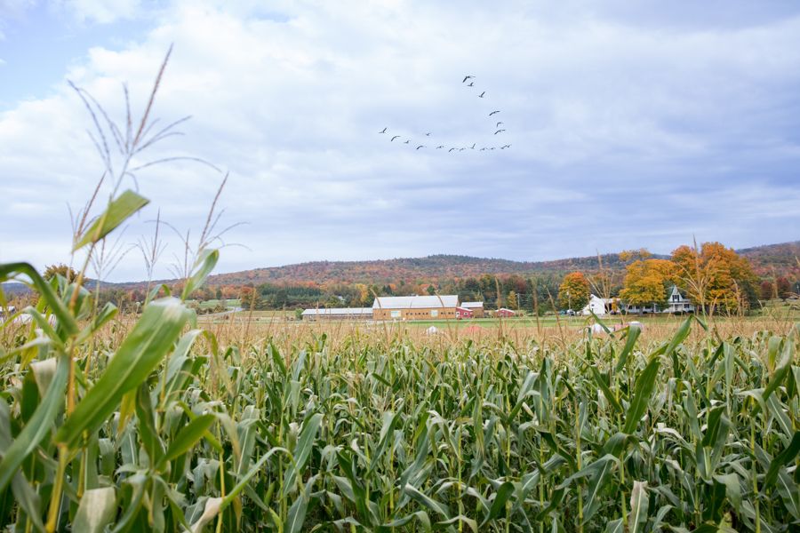 Farm Festivals in Vermont Isham Family Farm