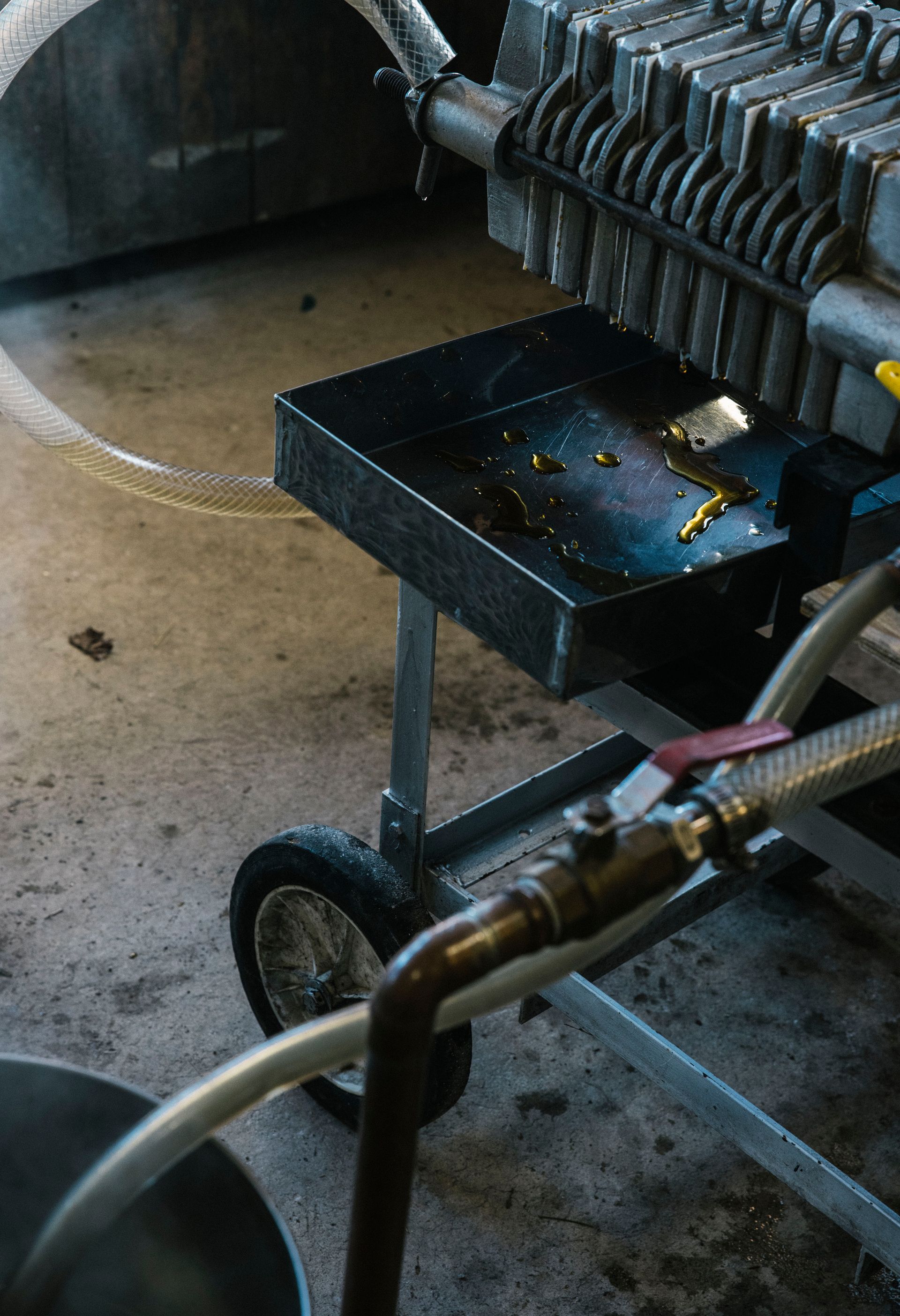 Vermont Maple Syrup Isham Family Farm