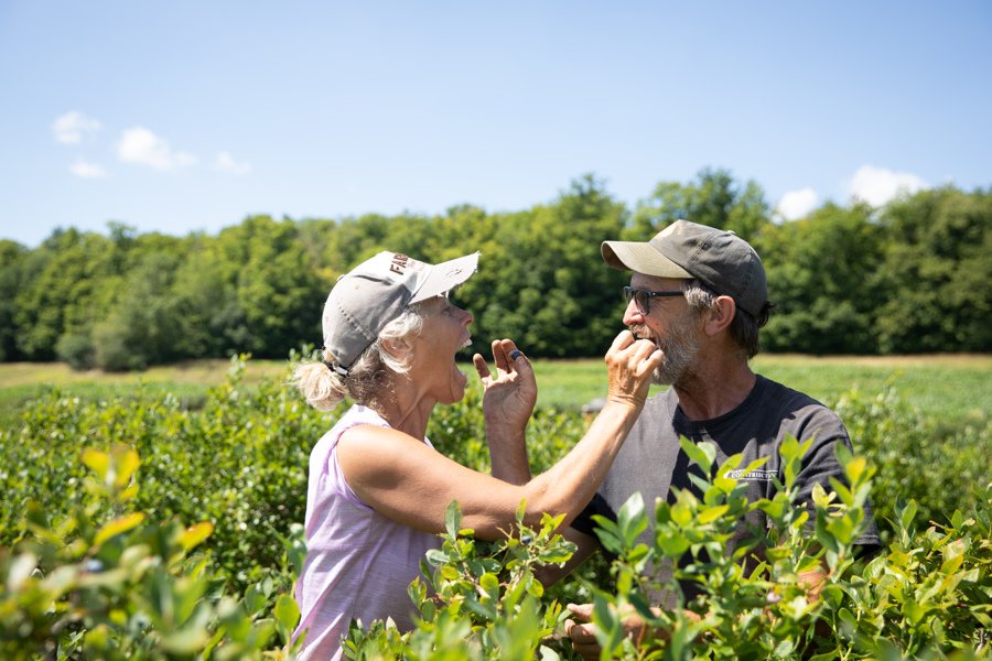 Pick Your Own Blueberries Vermont Isham Family Farm