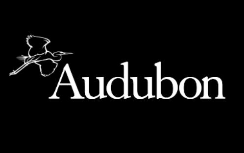 The audubon logo is white on a black background.