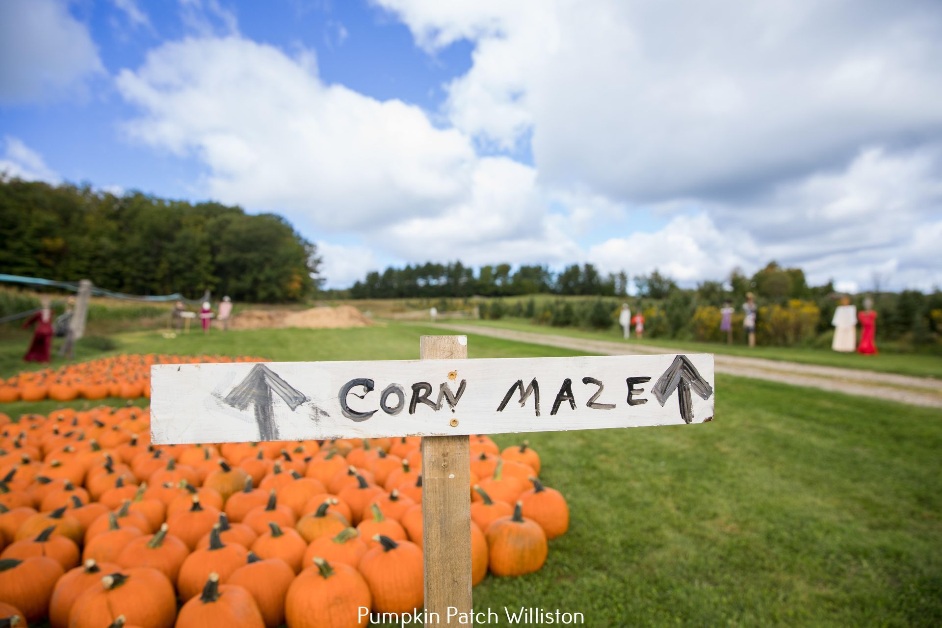 picture of a hand painted corn maze sign in front of isham family farm's pumpkin patch in the fall