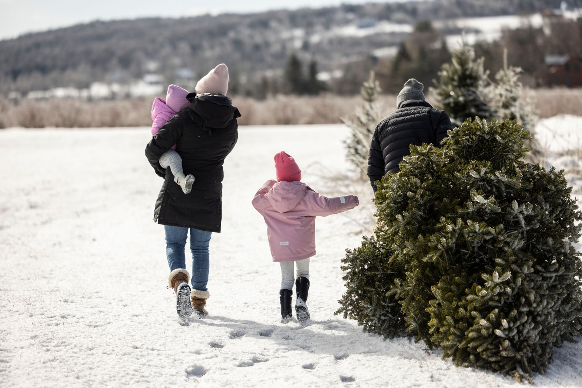 vermont christmas tree farm
