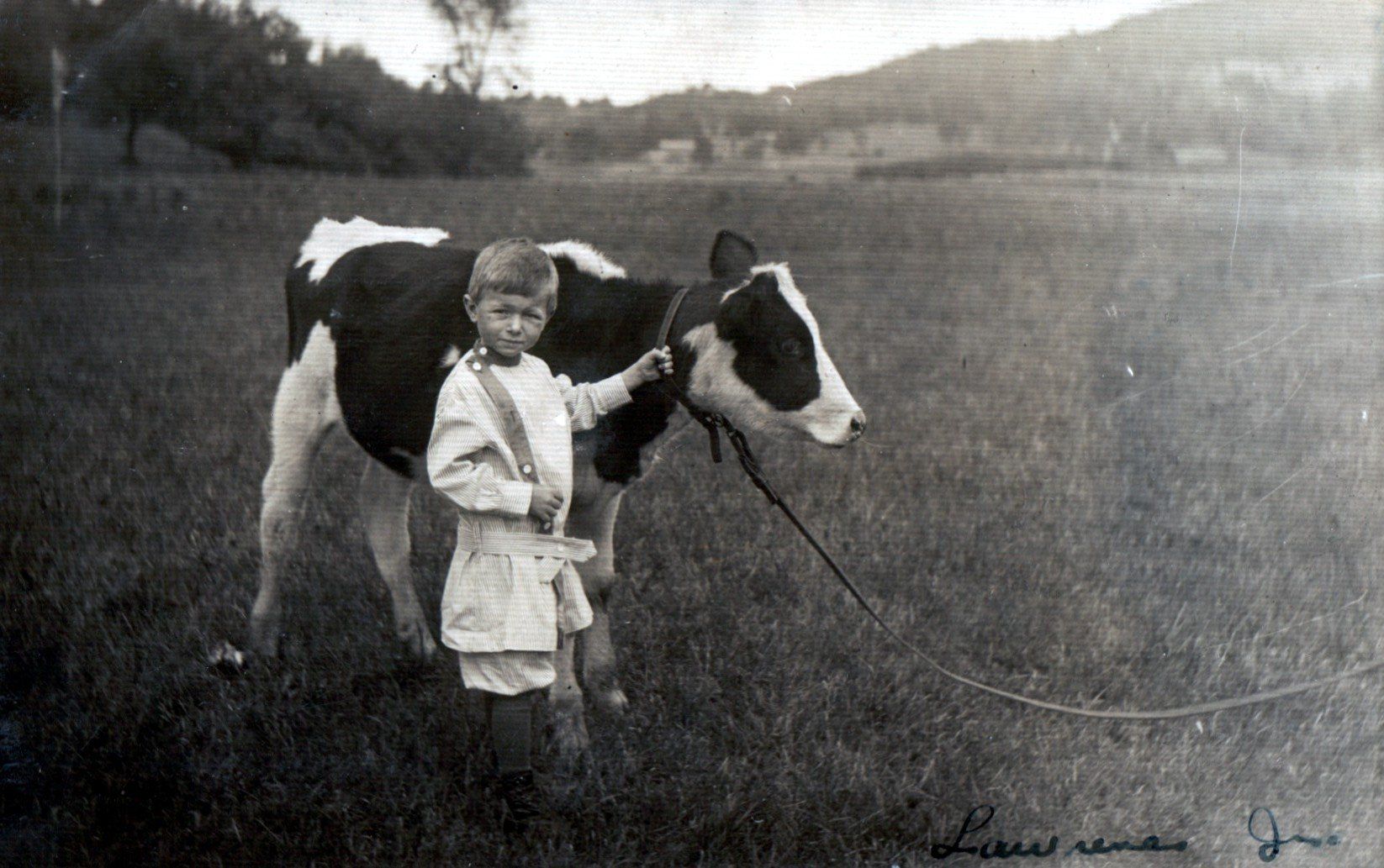 Vintage photo of a young boy holding a calf on Isham Family Farm in Vermont, circa early 1900s.