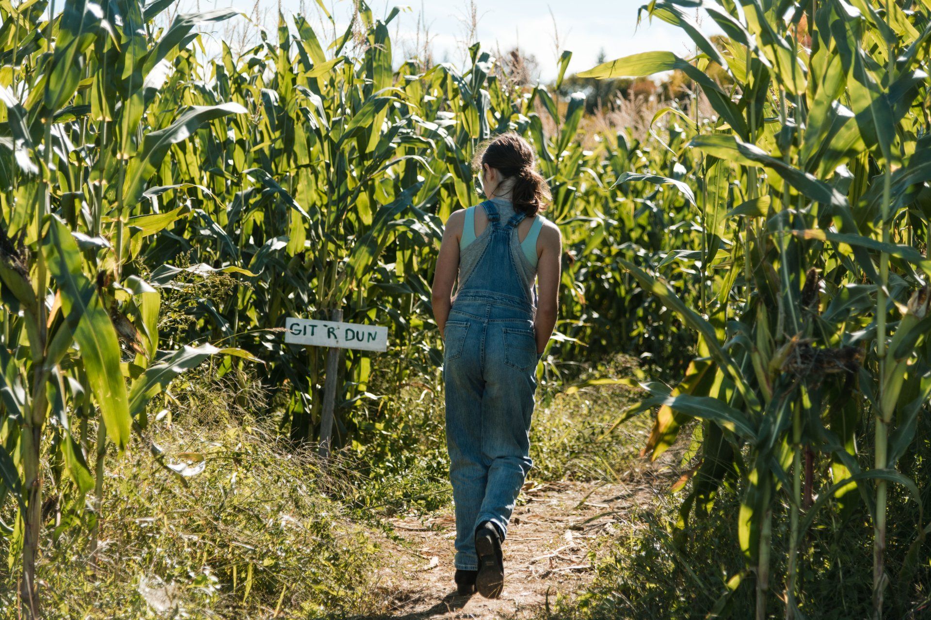 corn+maze+Isham+Family+Farm