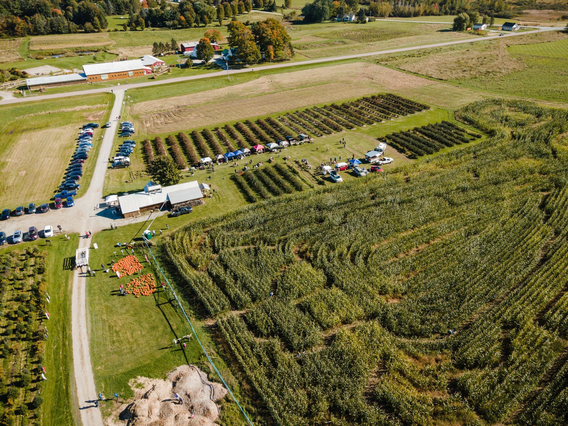 aerial view of isham family farm in the peak harvest season. 