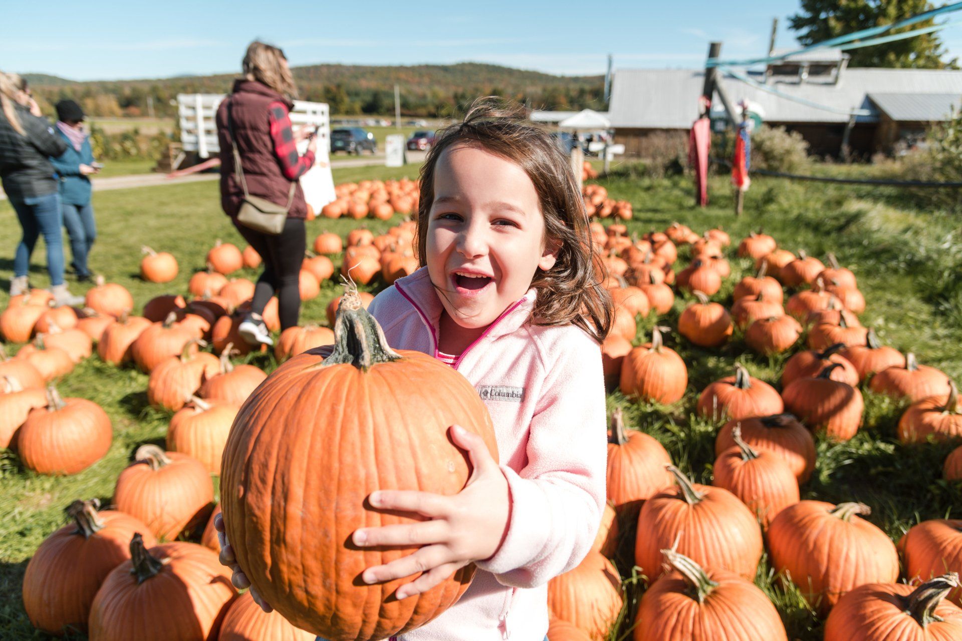 Isham Family Farm Fall festival