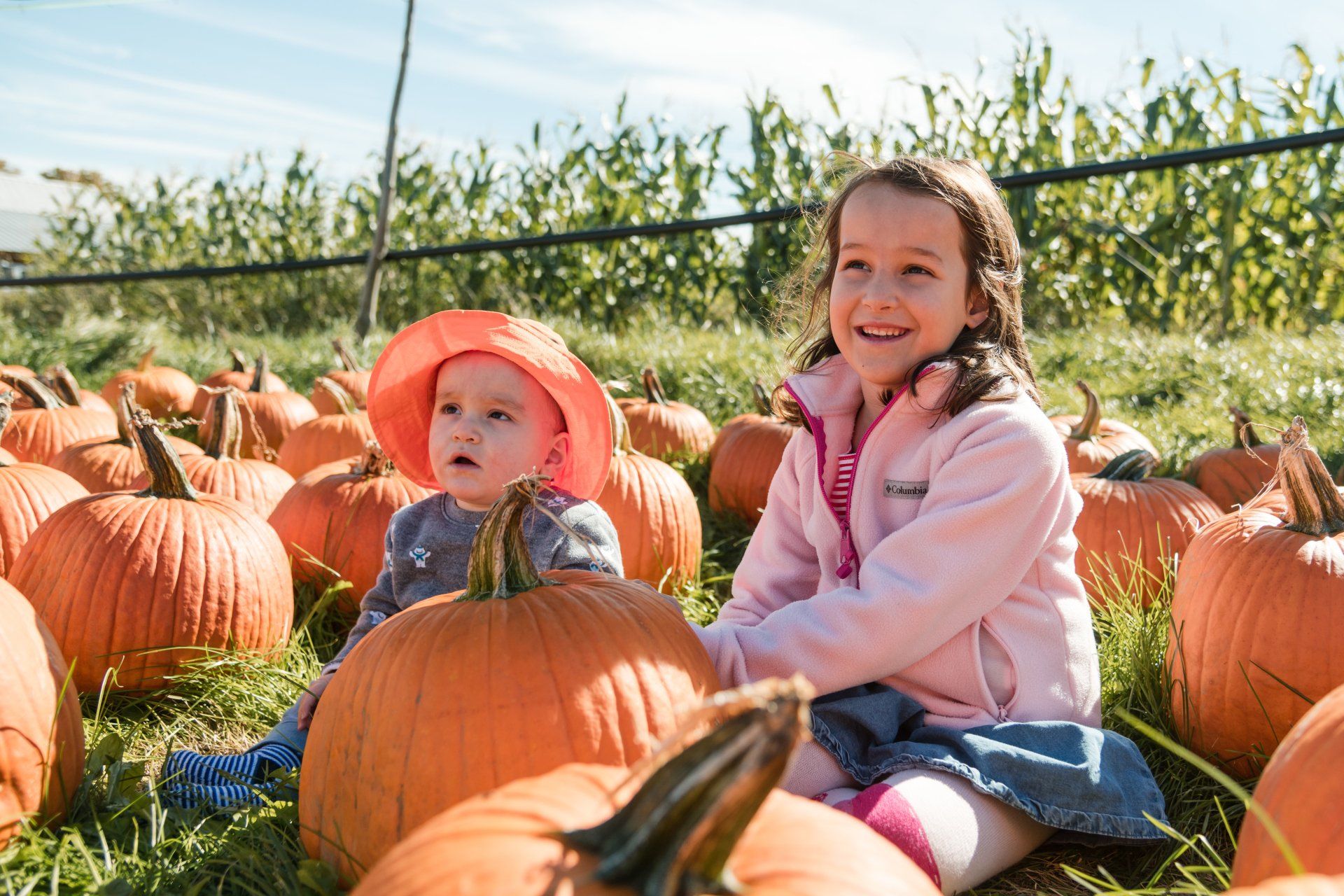 pumpkin+patch+williston+vt
