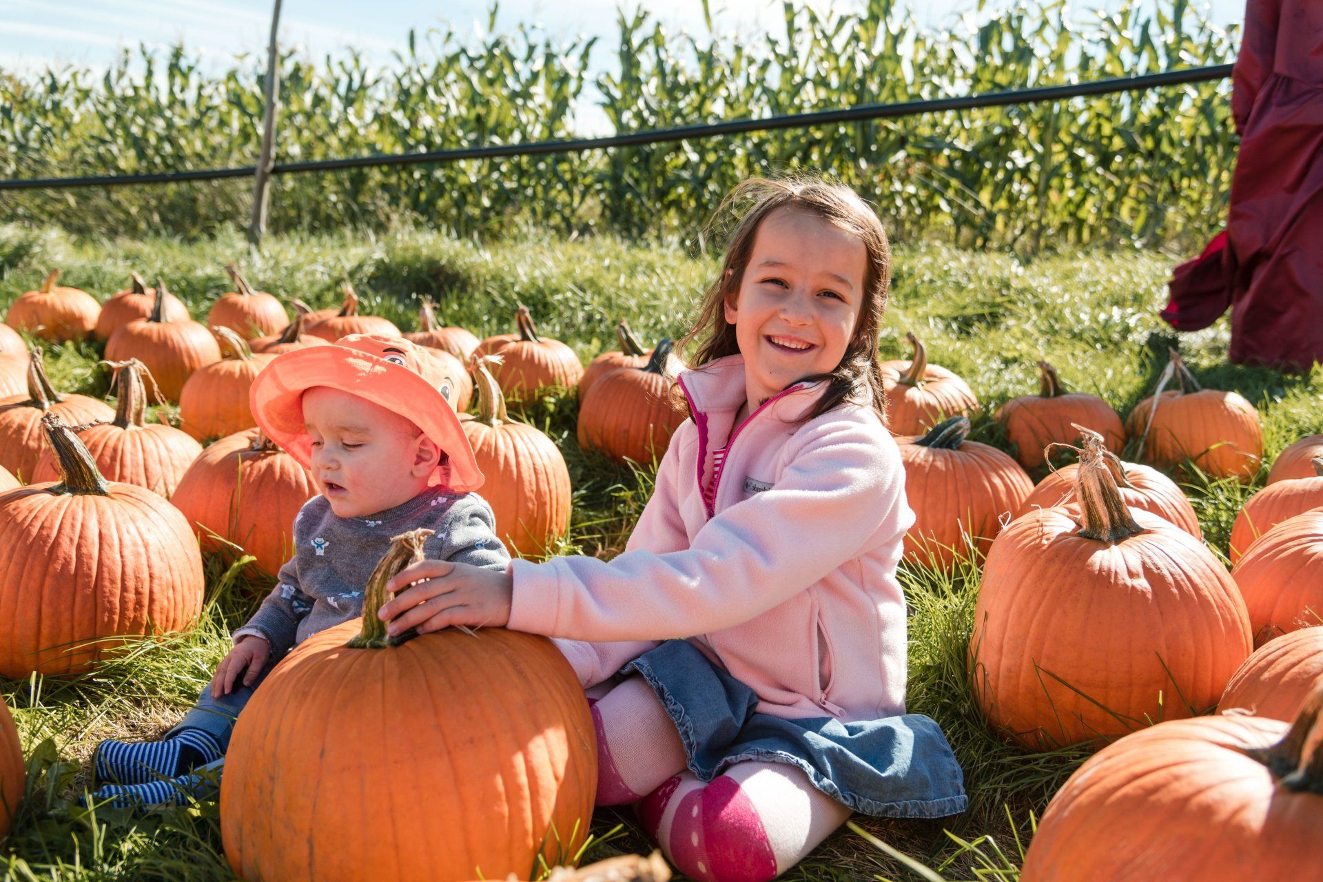 williston+vt+pumpkin+patch