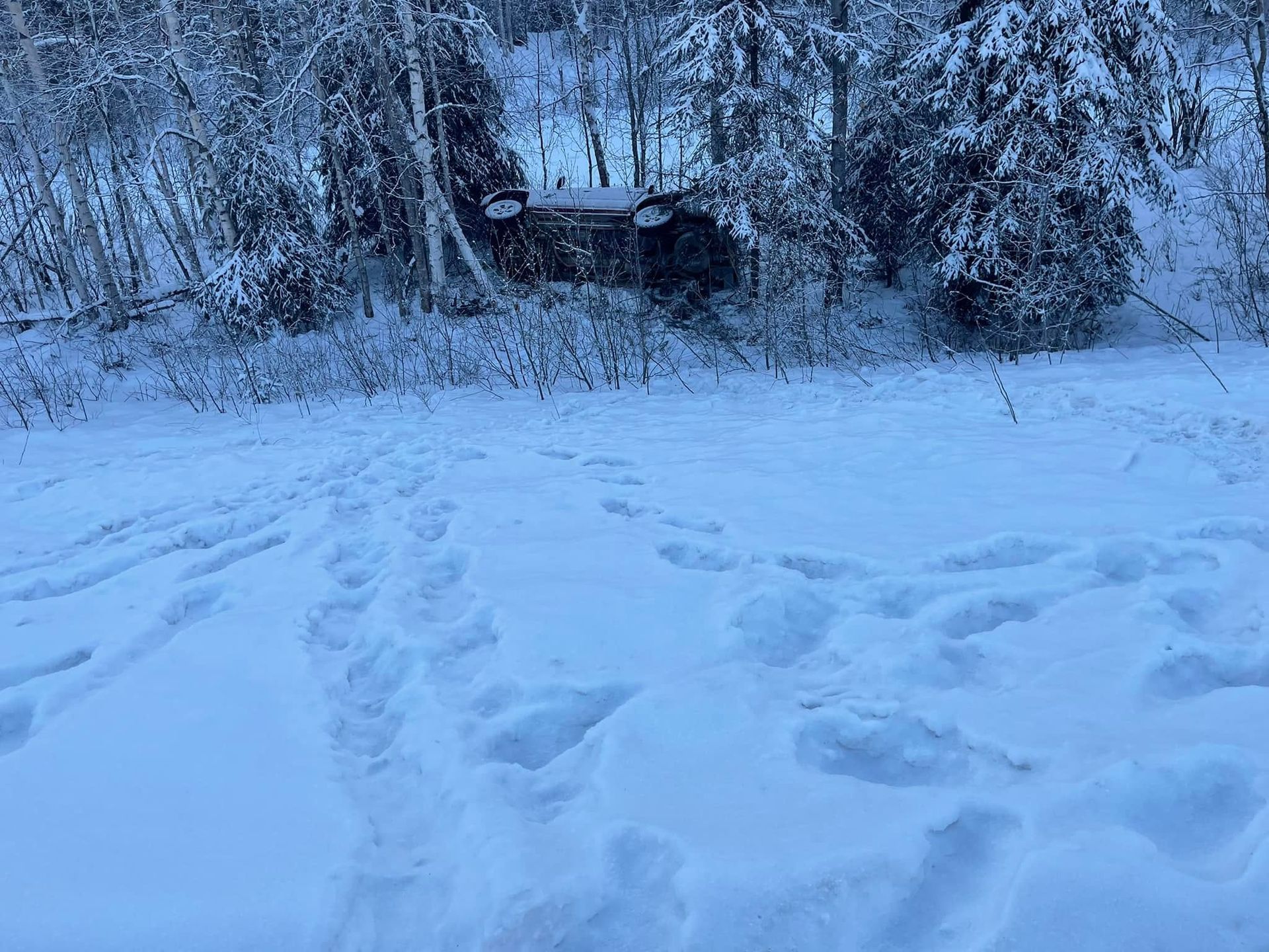 Snowy forest path with footprints leading toward a dark cabin under frosted trees