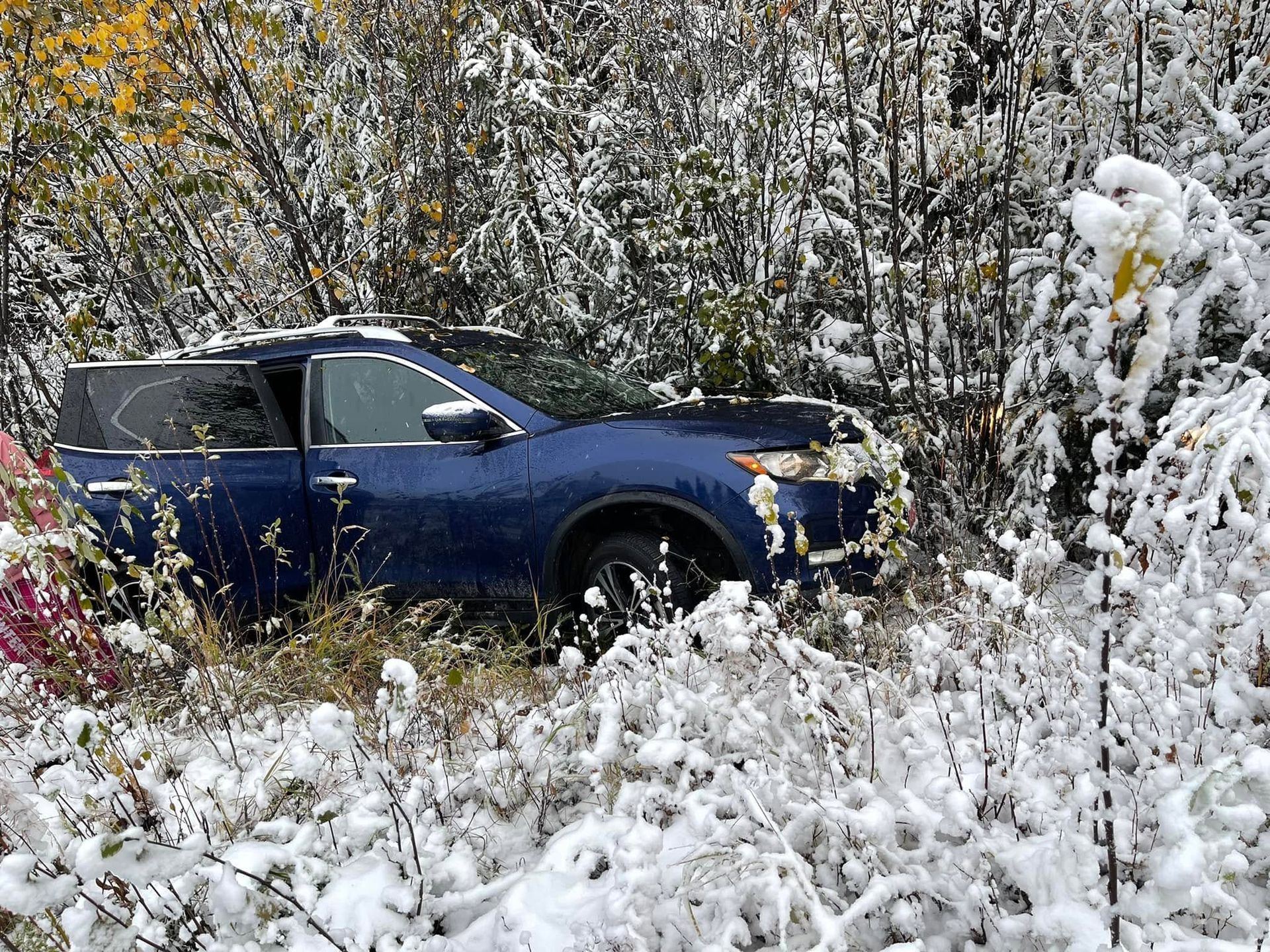 Blue pickup truck parked in snowy brush with trees in the background