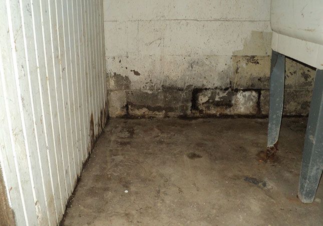 Moldy basement corner with stained walls, concrete floor, and a metal table leg