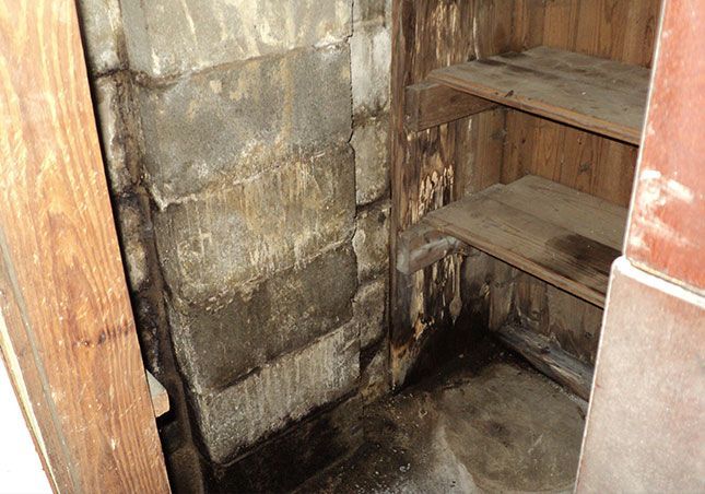 Small dirty closet with concrete walls, wooden shelves, and a damp floor.